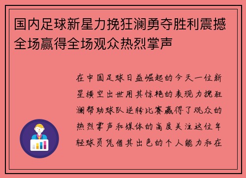 国内足球新星力挽狂澜勇夺胜利震撼全场赢得全场观众热烈掌声
