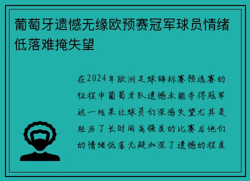 葡萄牙遗憾无缘欧预赛冠军球员情绪低落难掩失望